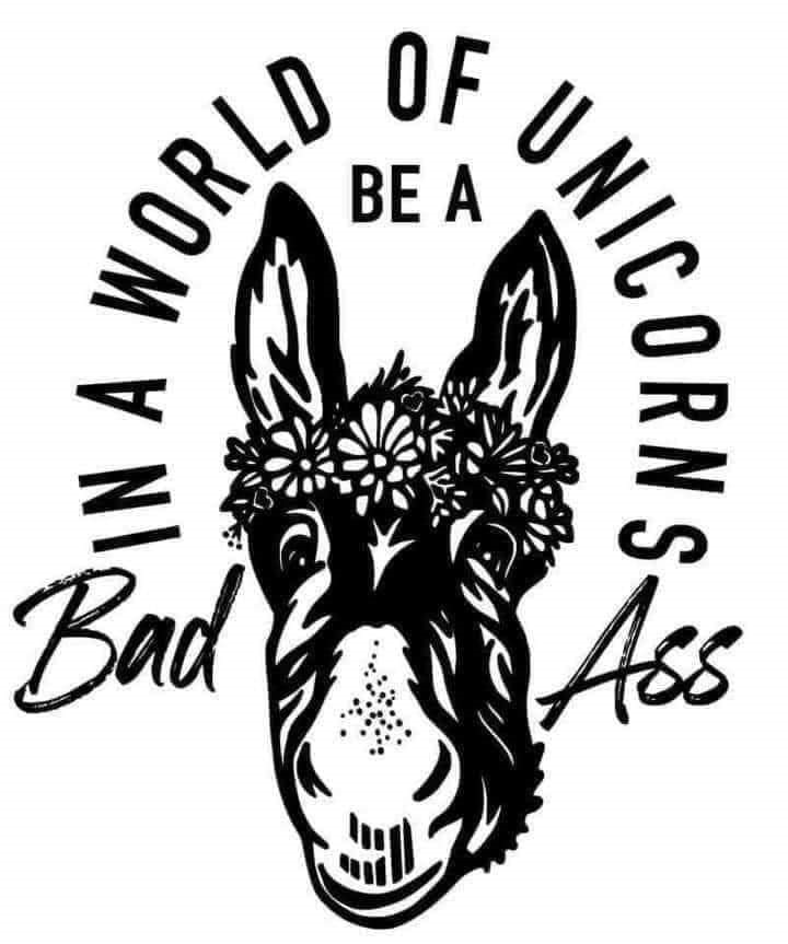 IN A WORLD OF UNICORNS, BE A BAD ASS