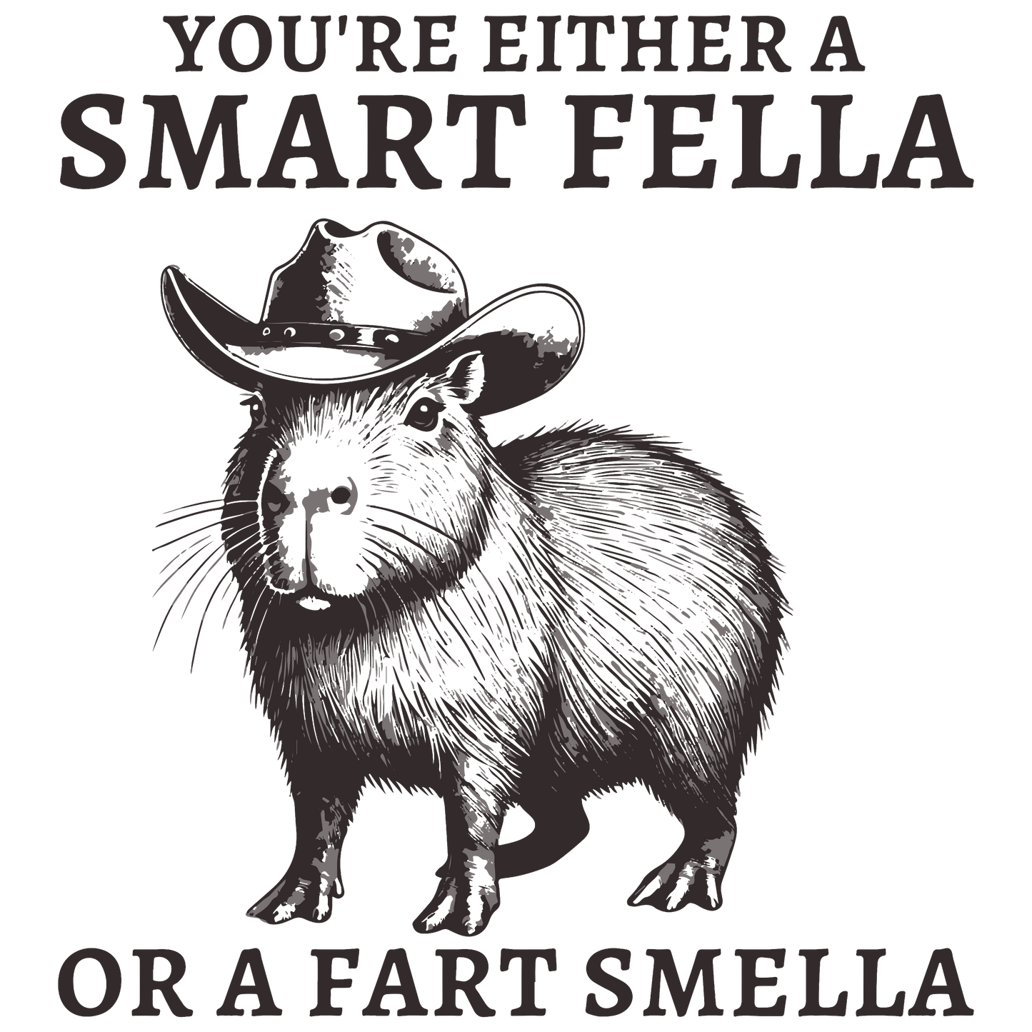 SMART FELLA OR FART FELLA