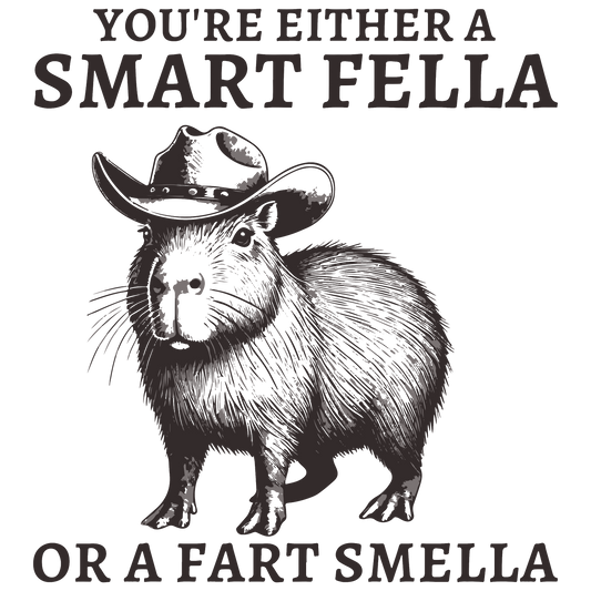 SMART FELLA OR FART FELLA