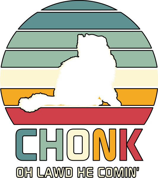 CHONKY CAT